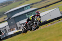 PJ-Motorsport-2019;anglesey-no-limits-trackday;anglesey-photographs;anglesey-trackday-photographs;enduro-digital-images;event-digital-images;eventdigitalimages;no-limits-trackdays;peter-wileman-photography;racing-digital-images;trac-mon;trackday-digital-images;trackday-photos;ty-croes